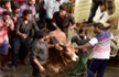 Jallikattu likely in two days: CM Panneerselvam